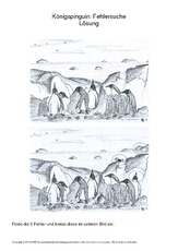 022 pinguin fehlersuche 5 lösung.pdf
